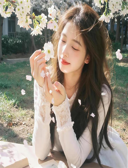 《无可奈何花落去》全方位解析不容错过的：剧情、人物、主题三位一体